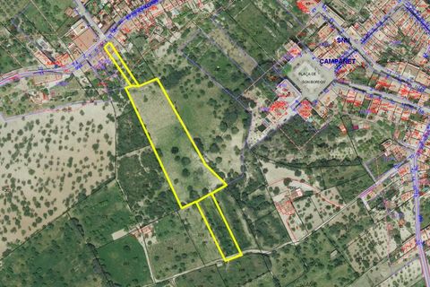 городской дом в Campanet, Mallorca, Campanet - € 550 000 | Ссылка: STHO933 - photo 14