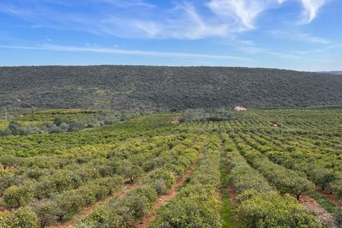 Landejendom i Alte, Faro, Alte - € 4.000.000 | Ref: HER80025 - foto 1