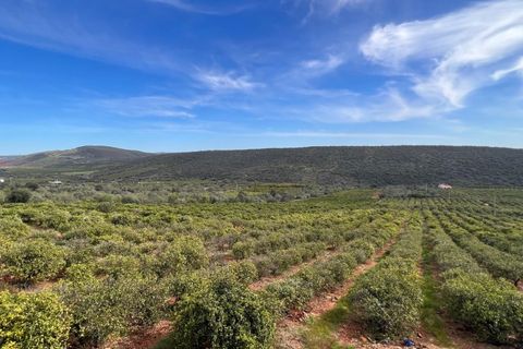 Landejendom i Alte, Faro, Alte - € 4.000.000 | Ref: HER80025 - foto 4