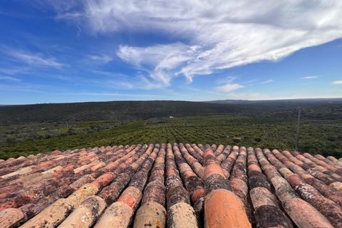 Landejendom i Alte, Faro, Alte - € 4.000.000 | Ref: HER80025 - foto 18