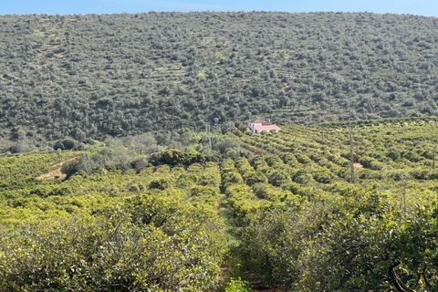 Landejendom i Alte, Faro, Alte - € 4.000.000 | Ref: HER80025 - foto 19