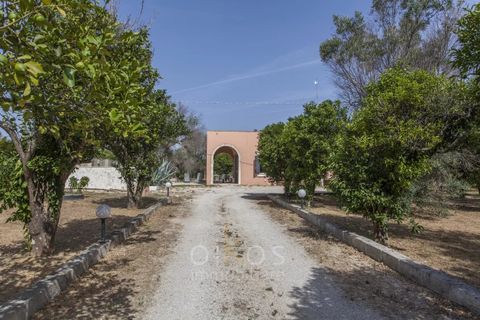 Villa a Oria, Brindisi, Oria - € 370.000 | Ref: V636 - foto 25