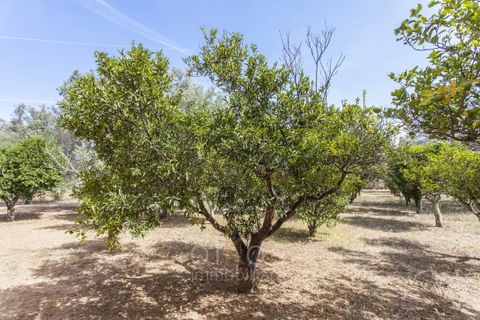 Villa a Oria, Brindisi, Oria - € 370.000 | Ref: V636 - foto 28