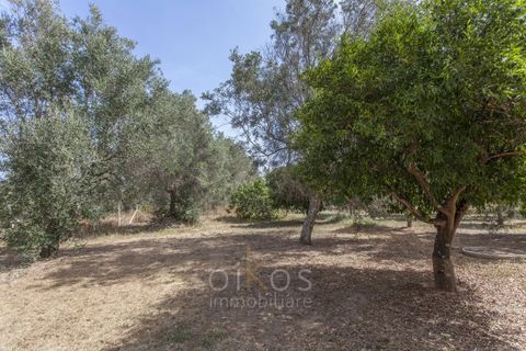 Villa a Oria, Brindisi, Oria - € 370.000 | Ref: V636 - foto 29