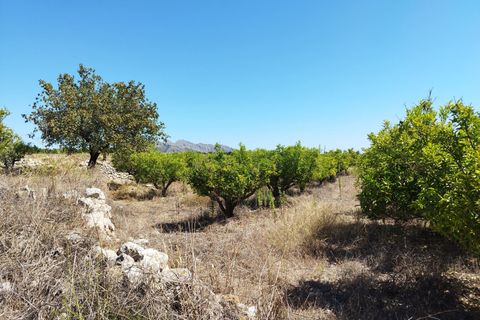 Helårsgrund i Orba, Alicante, Orba - € 100.000 | Ref: 001373 - foto 7
