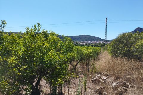 Helårsgrund i Orba, Alicante, Orba - € 100.000 | Ref: 001373 - foto 9