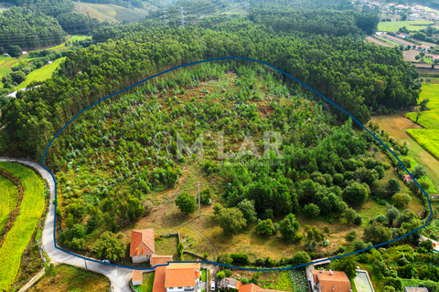 Farm hus i Braga, Braga, Braga - € 499.900 | Ref: ID 022 - foto 5