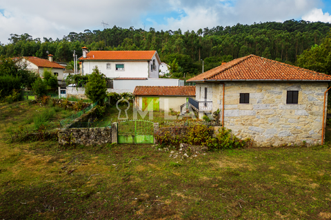 Farm hus i Braga, Braga, Braga - € 499.900 | Ref: ID 022 - foto 15