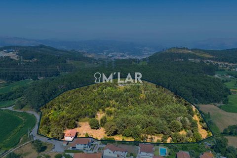 Farm hus i Braga, Braga, Braga - € 499.900 | Ref: ID 022 - foto 46