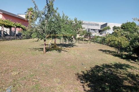 Villa i Moncao, Viana do Castelo, Moncao - € 395.000 | Ref: REF341 - foto 14