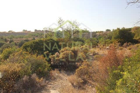 Helårsgrund i Estoi, Faro, Estoi - € 31.500 | Ref: TER_2379_VEND - foto 2