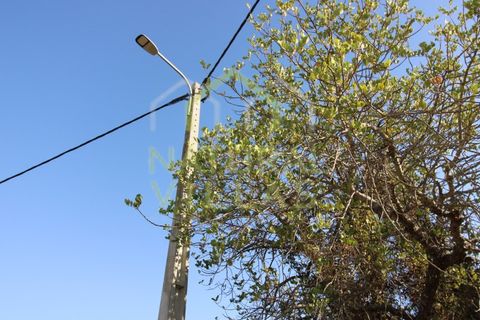 Helårsgrund i Estoi, Faro, Estoi - € 31.500 | Ref: TER_2379_VEND - foto 4