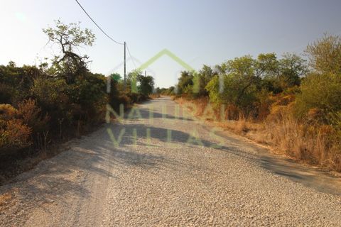 Helårsgrund i Estoi, Faro, Estoi - € 31.500 | Ref: TER_2379_VEND - foto 5