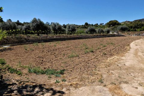 Finca i Caspe, Zaragoza, Caspe - € 33.000 | Ref: 0892 - foto 28