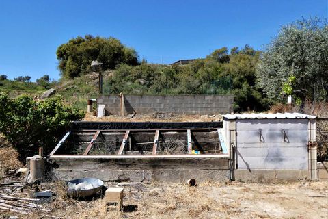 Finca i Caspe, Zaragoza, Caspe - € 33.000 | Ref: 0892 - foto 18