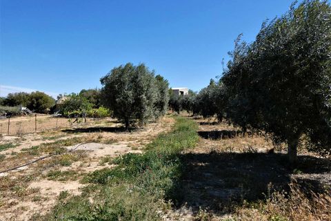 Finca i Caspe, Zaragoza, Caspe - € 33.000 | Ref: 0892 - foto 24