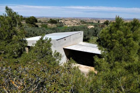 Finca i Caspe, Zaragoza, Caspe - € 33.000 | Ref: 0892 - foto 10