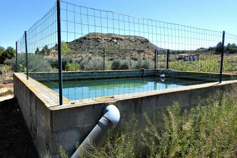 Finca i Caspe, Zaragoza, Caspe - € 33.000 | Ref: 0892 - foto 22