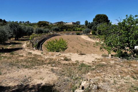Finca i Caspe, Zaragoza, Caspe - € 33.000 | Ref: 0892 - foto 15