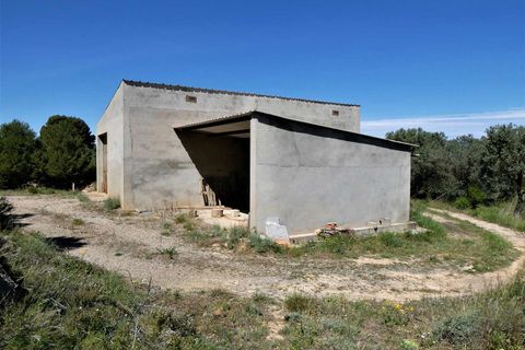 Finca i Caspe, Zaragoza, Caspe - € 33.000 | Ref: 0892 - foto 6