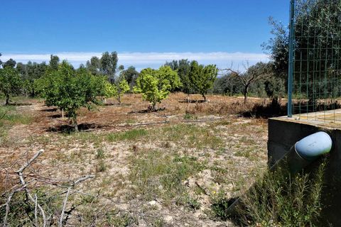 Finca i Caspe, Zaragoza, Caspe - € 33.000 | Ref: 0892 - foto 23