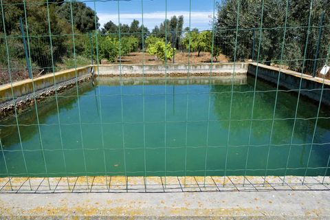 Finca i Caspe, Zaragoza, Caspe - € 33.000 | Ref: 0892 - foto 20