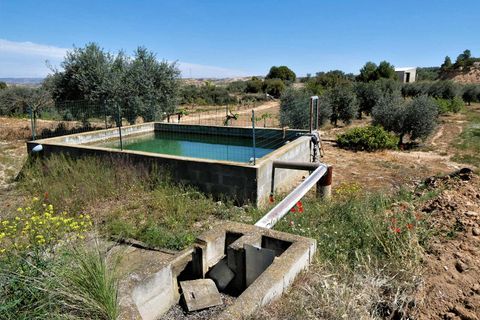 Finca i Caspe, Zaragoza, Caspe - € 33.000 | Ref: 0892 - foto 21