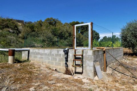 Finca i Caspe, Zaragoza, Caspe - € 33.000 | Ref: 0892 - foto 19