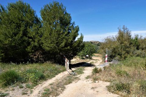Finca i Caspe, Zaragoza, Caspe - € 33.000 | Ref: 0892 - foto 13