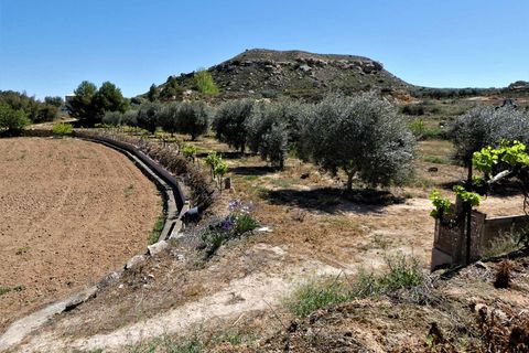 Finca i Caspe, Zaragoza, Caspe - € 33.000 | Ref: 0892 - foto 25