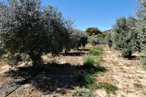 Finca i Caspe, Zaragoza, Caspe - € 33.000 | Ref: 0892 - foto 17