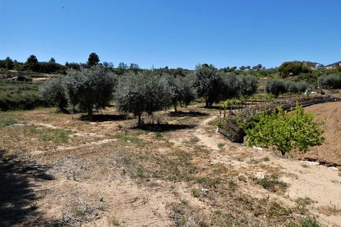Finca i Caspe, Zaragoza, Caspe - € 33.000 | Ref: 0892 - foto 16
