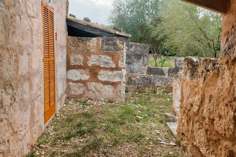 Cortijo i Muro, Mallorca, Muro - € 350.000 | Ref: C-C380 - foto 15