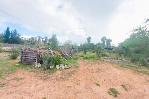 Cortijo i Muro, Mallorca, Muro - € 350.000 | Ref: C-C380 - foto 19