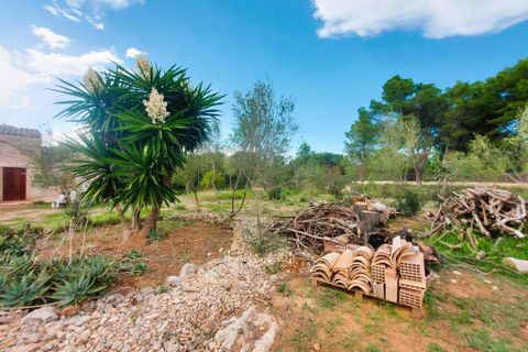Cortijo i Muro, Mallorca, Muro - € 350.000 | Ref: C-C380 - foto 1