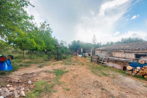 Cortijo i Muro, Mallorca, Muro - € 350.000 | Ref: C-C380 - foto 21