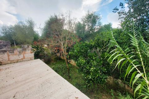 Cortijo i Muro, Mallorca, Muro - € 350.000 | Ref: C-C380 - foto 22