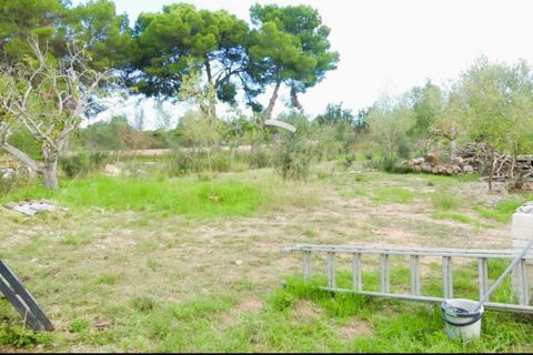 Cortijo i Muro, Mallorca, Muro - € 350.000 | Ref: C-C380 - foto 23