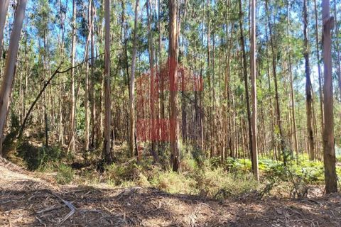 Helårsgrund i Vila Verde, Braga, Vila Verde - € 13.500 | Ref: 08149 - foto 3
