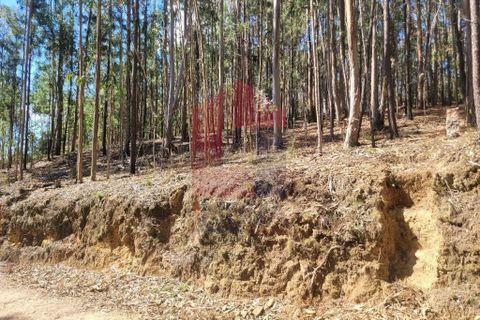 Helårsgrund i Vila Verde, Braga, Vila Verde - € 13.500 | Ref: 08149 - foto 12