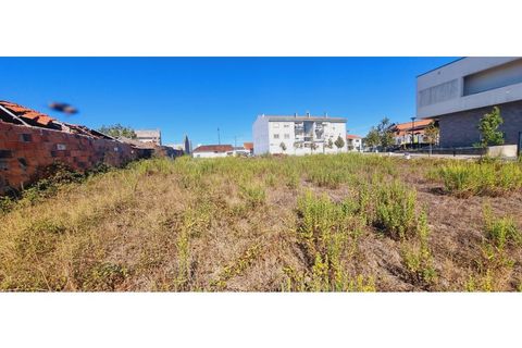 Helårsgrund i Moita, Leiria, Moita - € 40.000 | Ref: TER_203 - foto 2