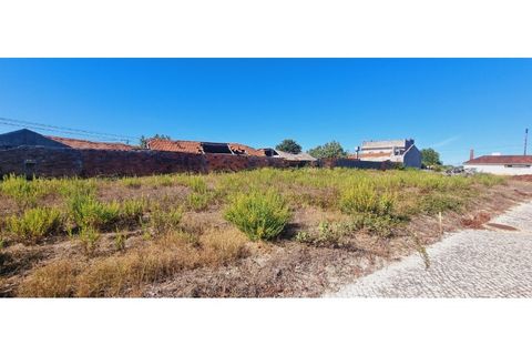 Helårsgrund i Moita, Leiria, Moita - € 40.000 | Ref: TER_203 - foto 3
