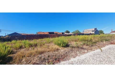 Helårsgrund i Moita, Leiria, Moita - € 40.000 | Ref: TER_203 - foto 4