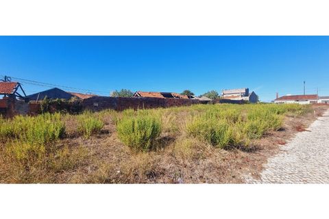 Helårsgrund i Moita, Leiria, Moita - € 40.000 | Ref: TER_203 - foto 5
