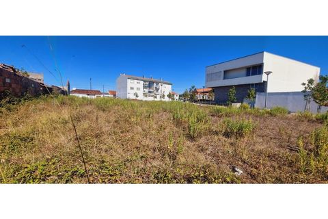 Helårsgrund i Moita, Leiria, Moita - € 40.000 | Ref: TER_203 - foto 6