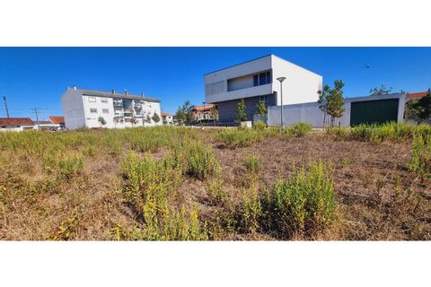 Helårsgrund i Moita, Leiria, Moita - € 40.000 | Ref: TER_203 - foto 8
