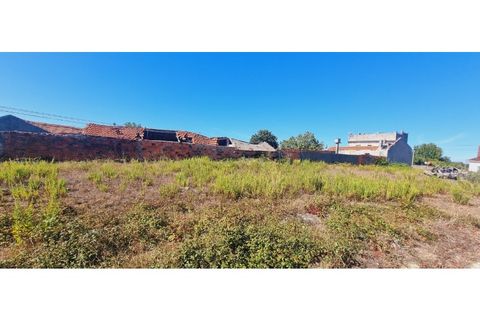 Helårsgrund i Moita, Leiria, Moita - € 40.000 | Ref: TER_203 - foto 11