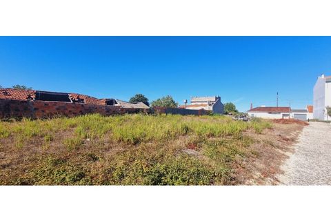 Helårsgrund i Moita, Leiria, Moita - € 40.000 | Ref: TER_203 - foto 12