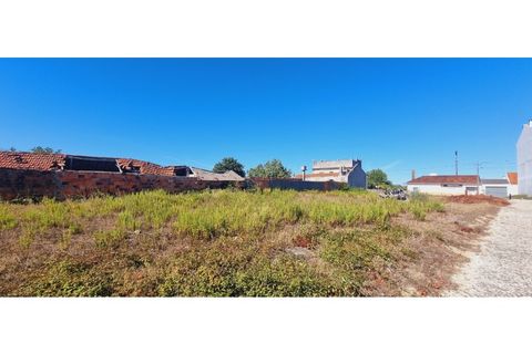 Helårsgrund i Moita, Leiria, Moita - € 40.000 | Ref: TER_203 - foto 13