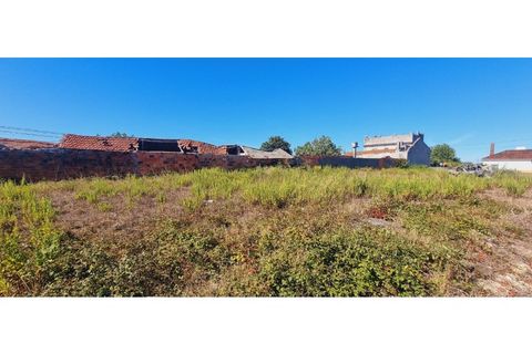 Helårsgrund i Moita, Leiria, Moita - € 40.000 | Ref: TER_203 - foto 15